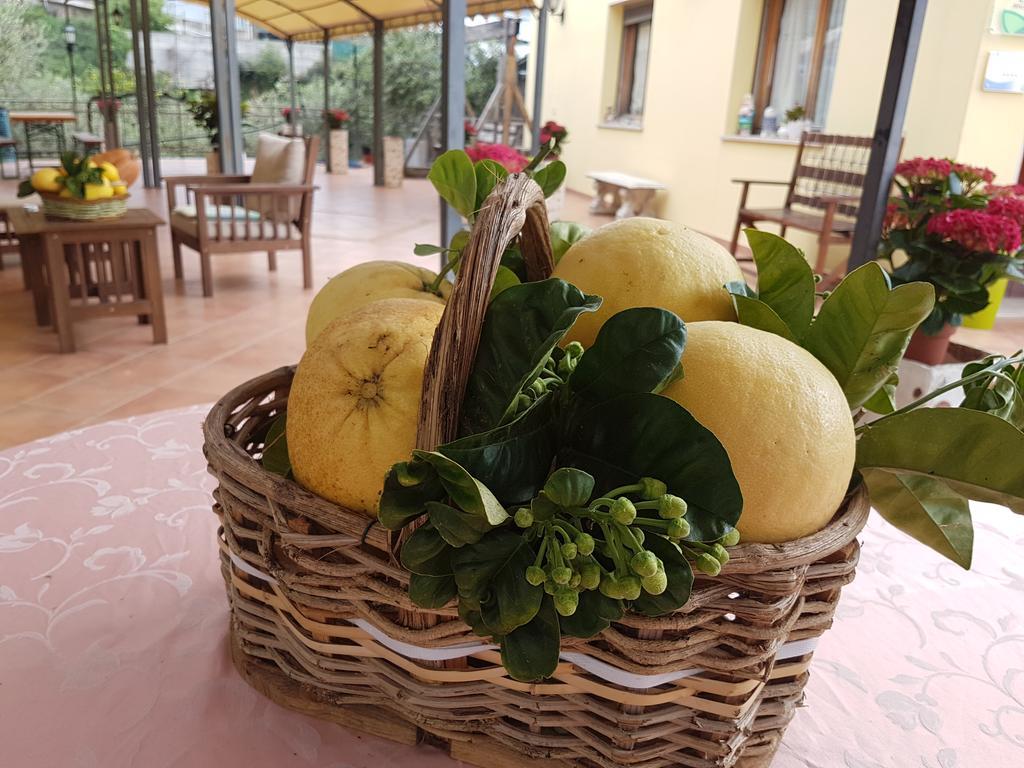Agriturismo Al Nido Degli Aironi Sanremo Exterior photo